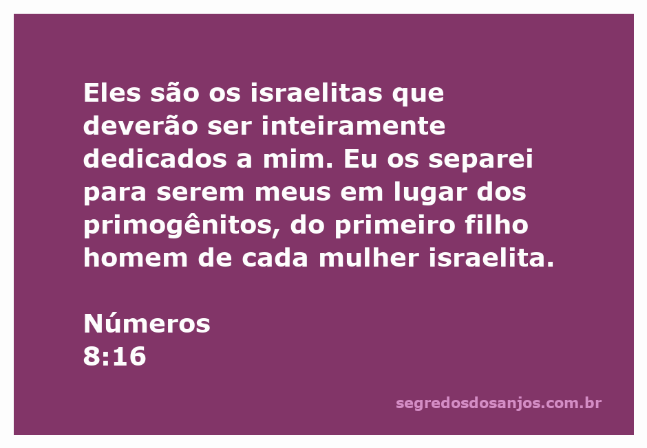 Imagem representativa dos levitas dedicados ao serviço de Deus, simbolizando a escolha divina em Números 8:16.