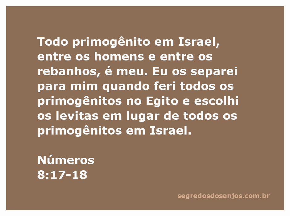 Ilustração dos primogênitos de Israel e os levitas, representando a escolha divina.