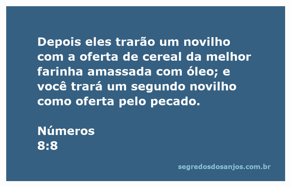 Imagem representativa da oferta de um novilho e cereais na tradição bíblica.