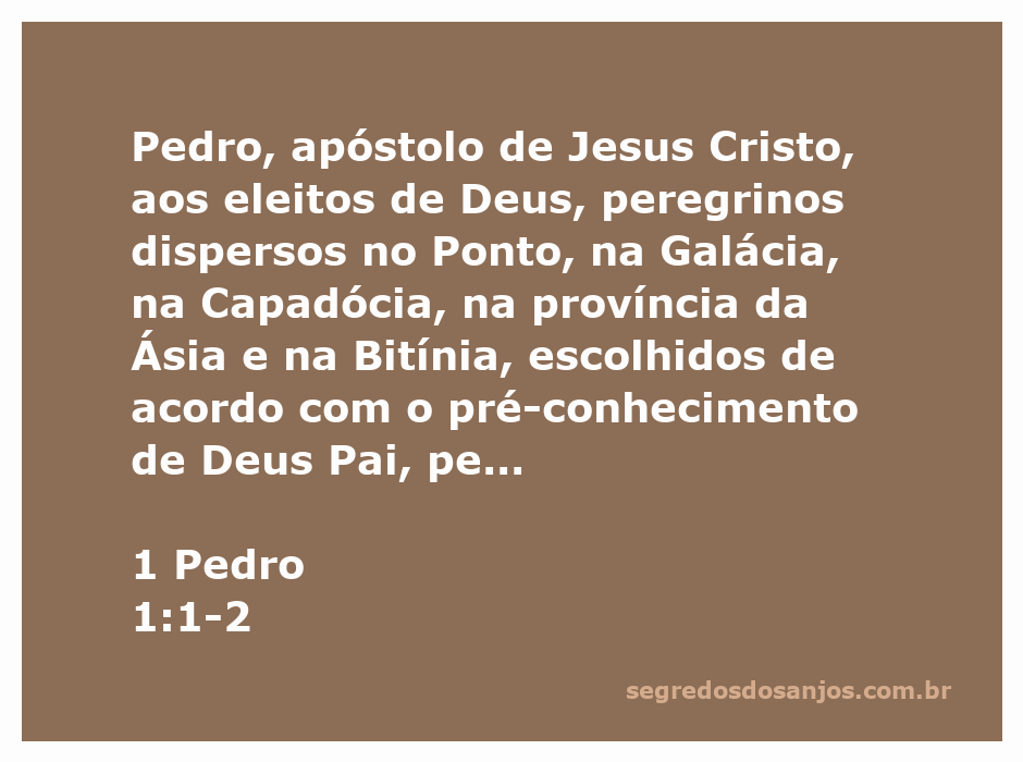 Imagem representativa da carta de Pedro aos eleitos de Deus, destacando a mensagem de graça e paz.