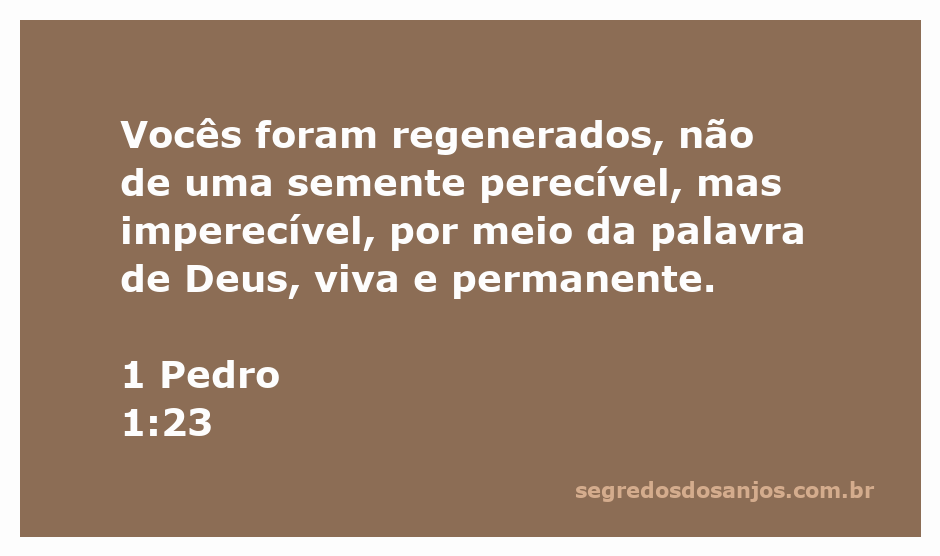 Imagem representativa da regeneração espiritual através da palavra de Deus, com elementos simbólicos de vida eterna.