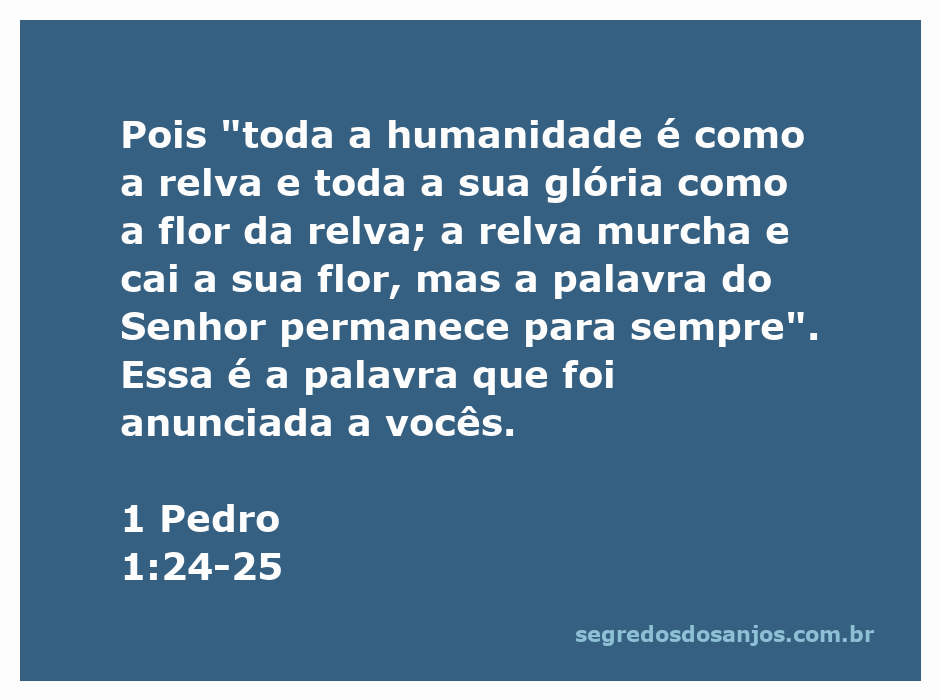 Imagem representativa da passagem de 1 Pedro 1:24-25, mostrando relva e flores, simbolizando a transitoriedade da vida humana em comparação à eternidade da palavra de Deus.
