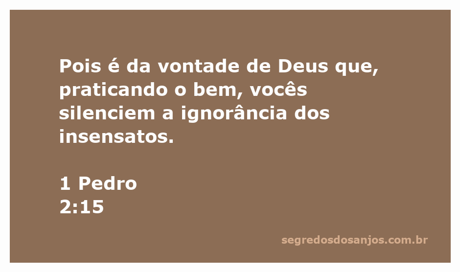Imagem inspiradora representando 1 Pedro 2:15, destacando a importância de praticar o bem para silenciar a ignorância.