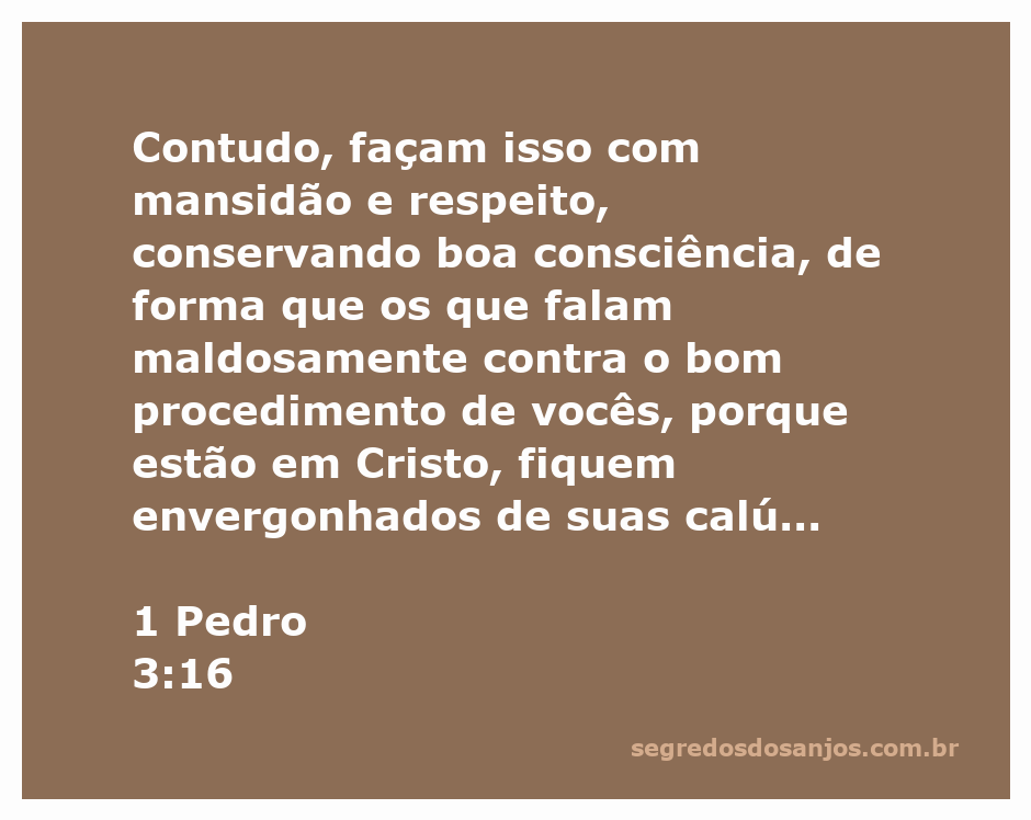 Versículo de 1 Pedro 3:16 destacando a importância da mansidão e respeito na defesa da fé