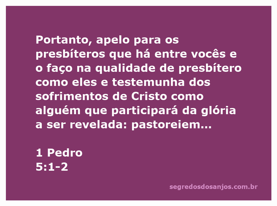 Imagem de um pastor cuidando de um rebanho, simbolizando a liderança espiritual e o cuidado pastoral conforme 1 Pedro 5:1-2.