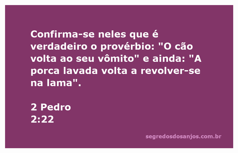Ilustração do versículo 2 Pedro 2:22 que compara o comportamento de animais a ações humanas.