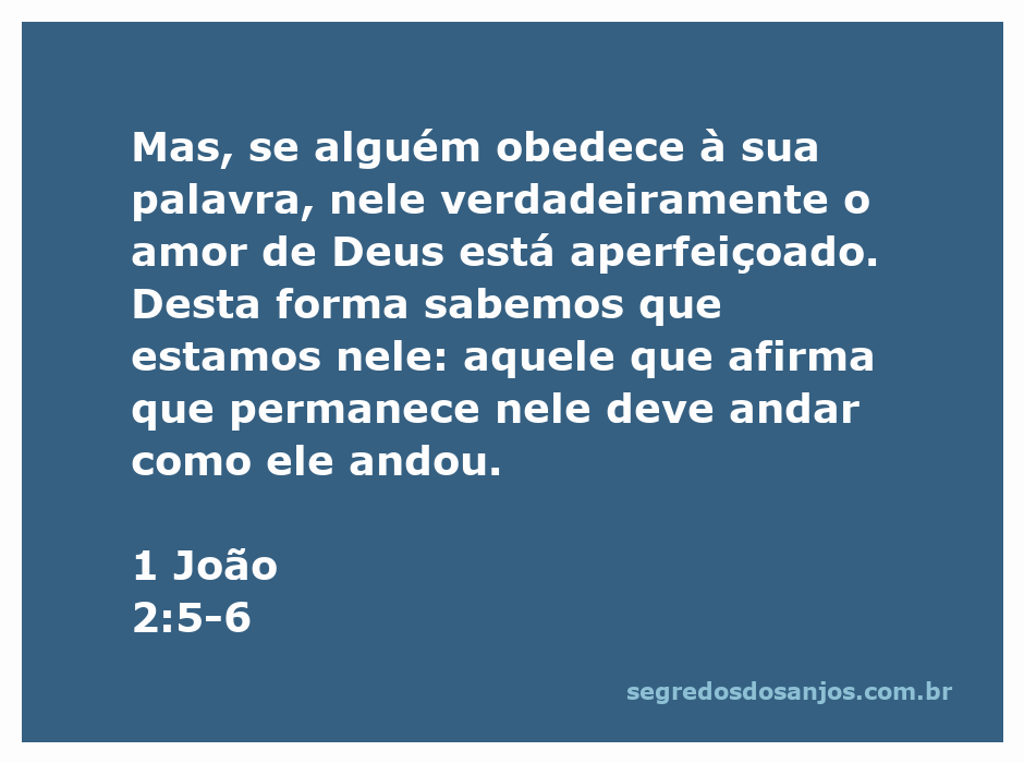 Imagem de um caminho que simboliza a jornada espiritual e a obediência a Deus, com a citação de 1 João 2:5-6 sobre o amor de Deus e a vida de Jesus.