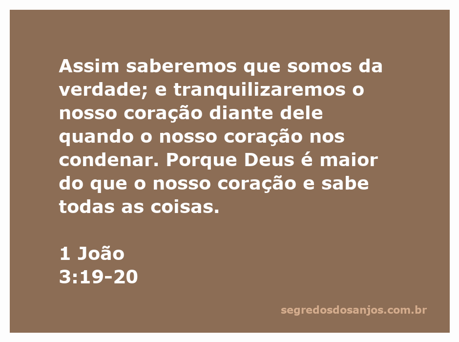 Ilustração do versículo 1 João 3:19-20, mostrando a relação entre a verdade, o coração e a sabedoria de Deus.