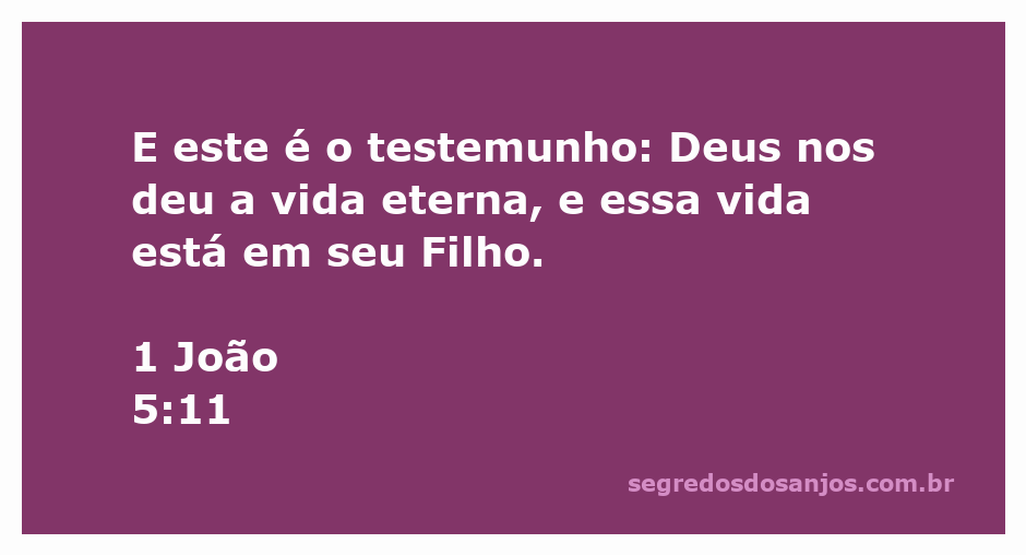 Imagem que representa a vida eterna oferecida por Deus através de Seu Filho, conforme 1 João 5:11.
