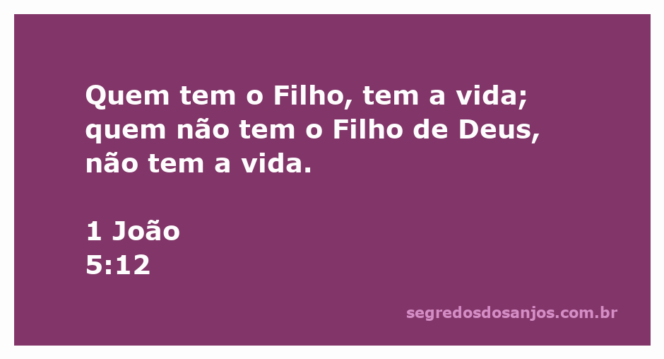 Imagem representativa do versículo 1 João 5:12, destacando a importância de ter o Filho de Deus para a vida eterna.
