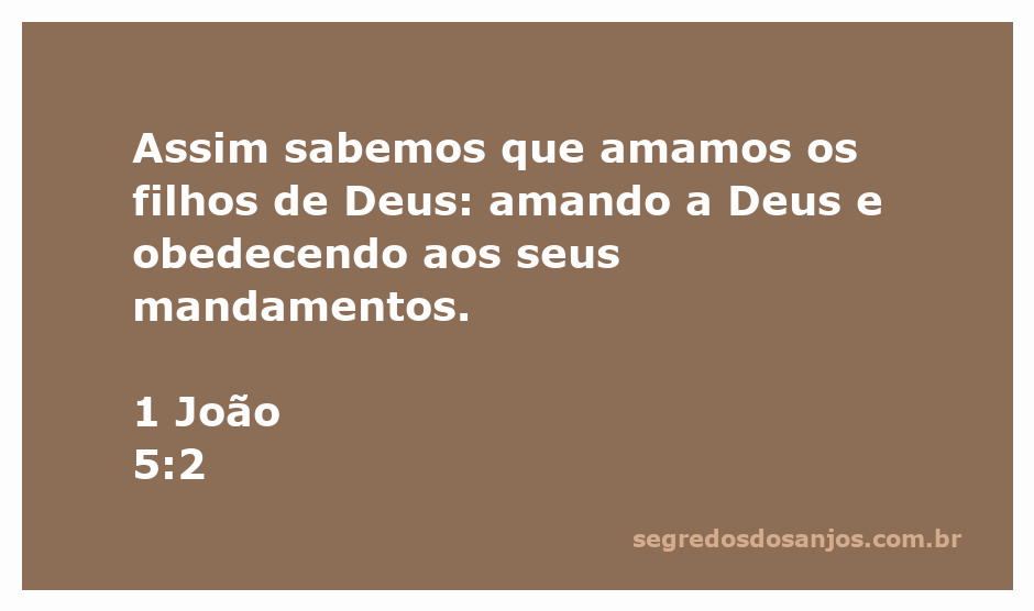 Versículo de 1 João 5:2 sobre o amor e a obediência a Deus.