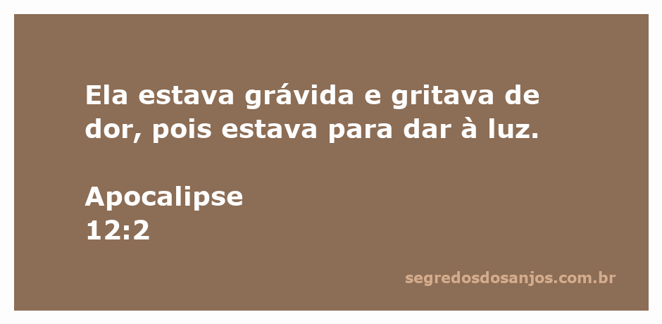 Imagem de uma mulher grávida em agonia, simbolizando o versículo Apocalipse 12:2.