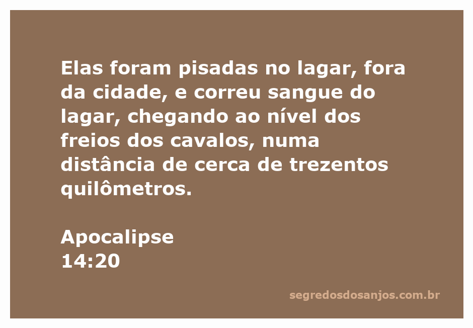 Imagem representativa do lagar onde o sangue foi pisado, simbolizando a justiça divina em Apocalipse 14:20.