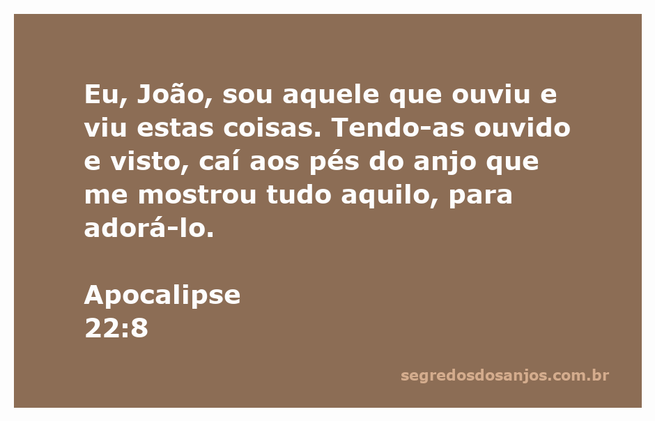 João cai aos pés do anjo em adoração após ouvir e ver as revelações.