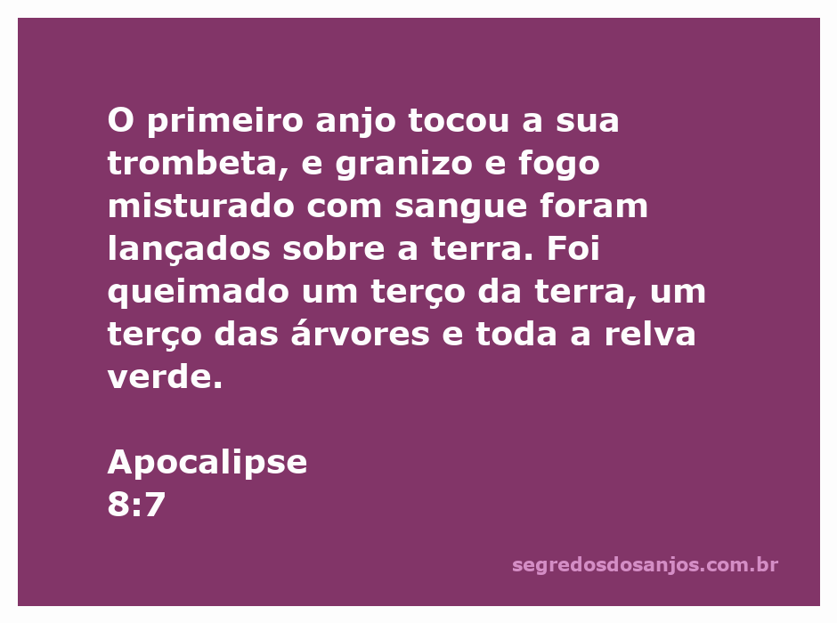 Imagem representativa da passagem bíblica de Apocalipse 8:7, mostrando granizo, fogo e destruição na terra.