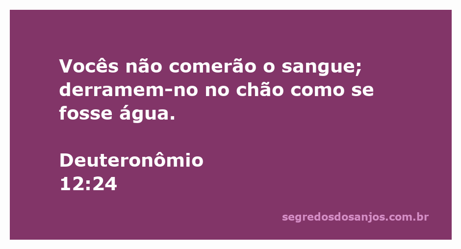 Imagem representando Deuteronômio 12:24, onde enfatiza a proibição de consumir sangue e a instrução de derramá-lo no chão.