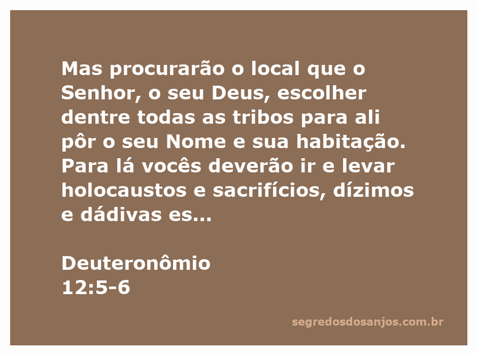 Imagem representando o local escolhido por Deus para adoração conforme Deuteronômio 12:5-6.