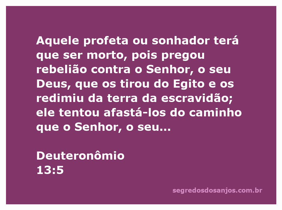 Imagem representando Deuteronômio 13:5, destacando a advertência contra falsos profetas e a importância da obediência a Deus.