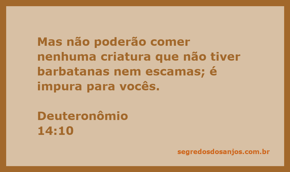Ilustração de criaturas marinhas, destacando aquelas com barbatanas e escamas, conforme Deuteronômio 14:10.