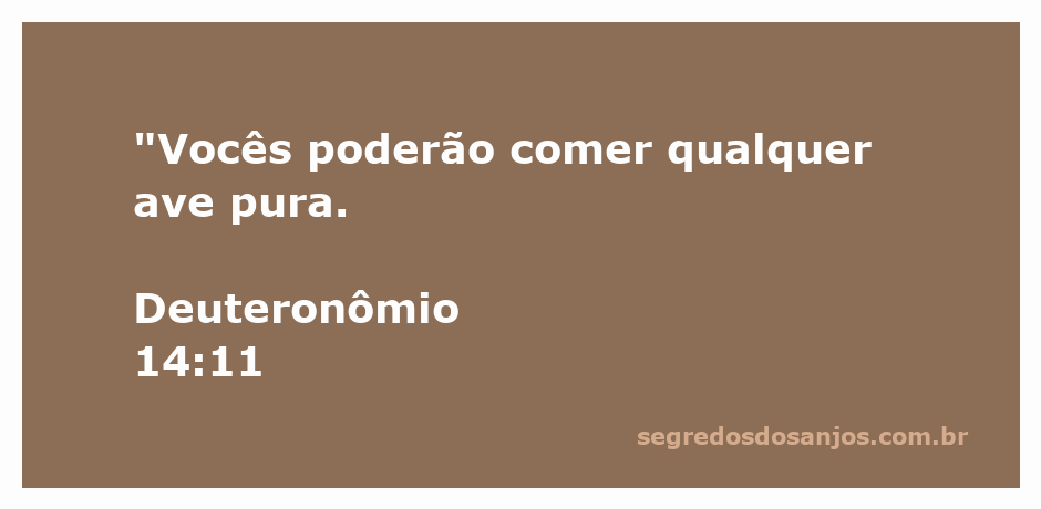 Imagem de aves puras que podem ser consumidas, conforme Deuteronômio 14:11.
