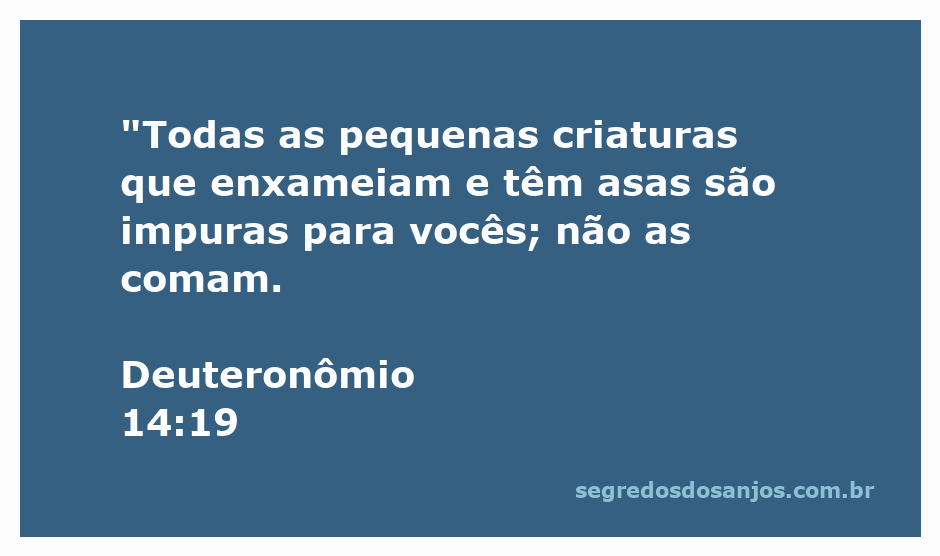 Ilustração de criaturas aladas, simbolizando as pequenas criaturas mencionadas em Deuteronômio 14:19.