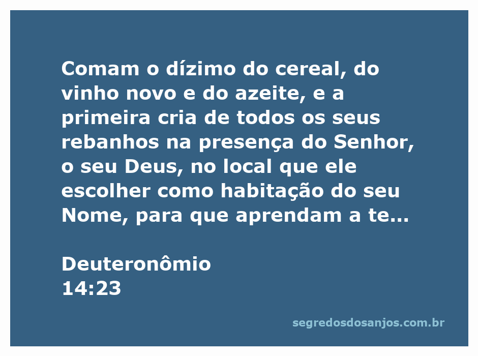 Imagem ilustrativa do dízimo de cereais, vinho e azeite sendo oferecidos ao Senhor, representando a prática religiosa descrita em Deuteronômio 14:23.