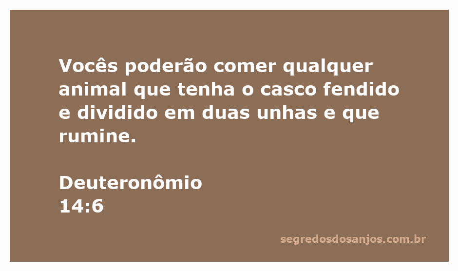 Imagem de animais com casco fendido e que ruminam, representando os alimentos permitidos segundo Deuteronômio 14:6.