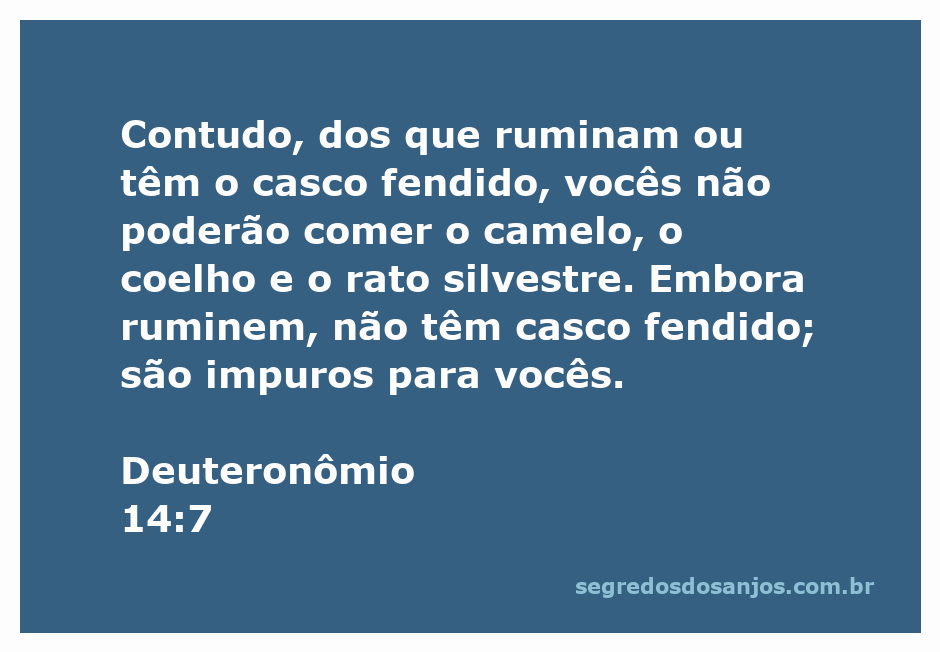 Imagem ilustrativa da passagem bíblica Deuteronômio 14:7, que fala sobre animais impuros que não devem ser consumidos.