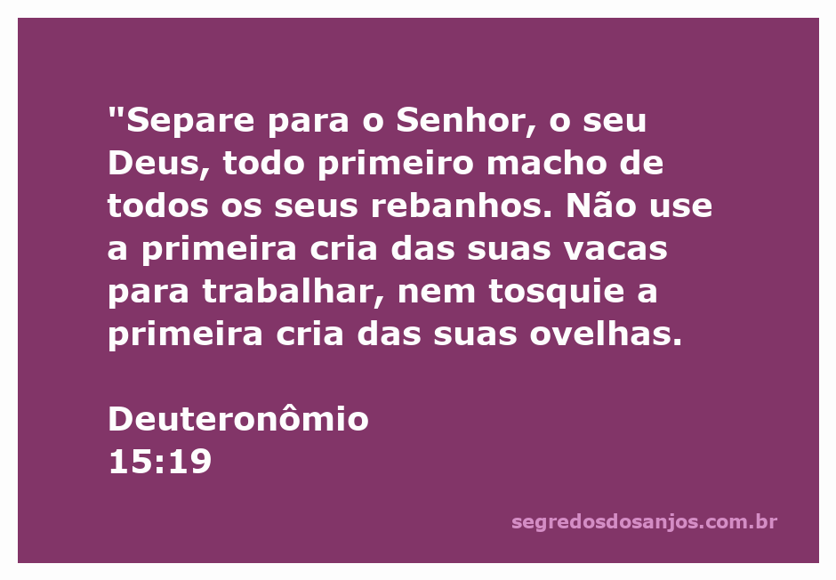 Imagem de um rebanho com destaque para os primeiros machos, simbolizando a separação para o Senhor conforme Deuteronômio 15:19.