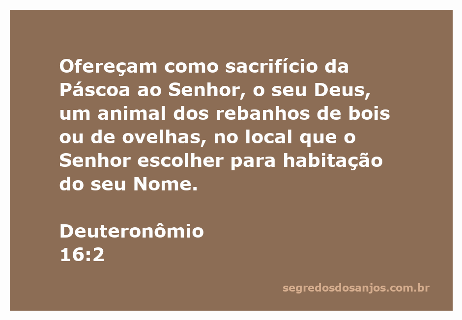 Sacrifício da Páscoa representando a oferta de bois ou ovelhas ao Senhor, com referência ao versículo Deuteronômio 16:2.