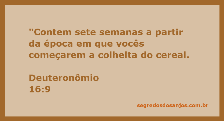 Ilustração da colheita de cereais com destaque para o período de sete semanas mencionado em Deuteronômio 16:9.