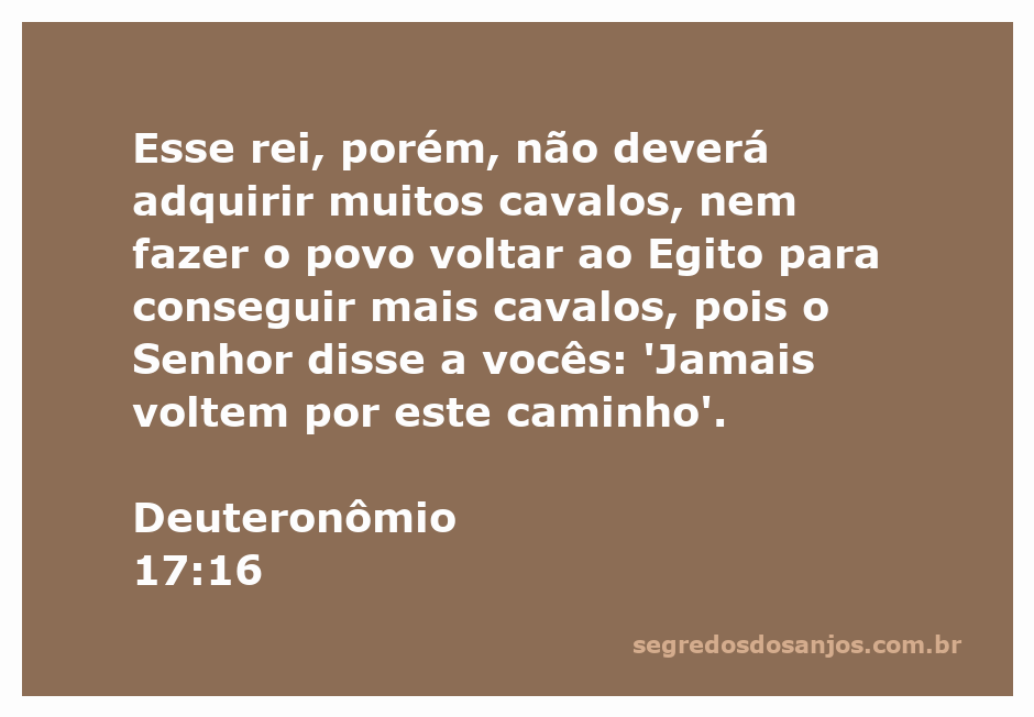 Imagem representativa do versículo Deuteronômio 17:16, destacando a advertência sobre os reis e a aquisição de cavalos.