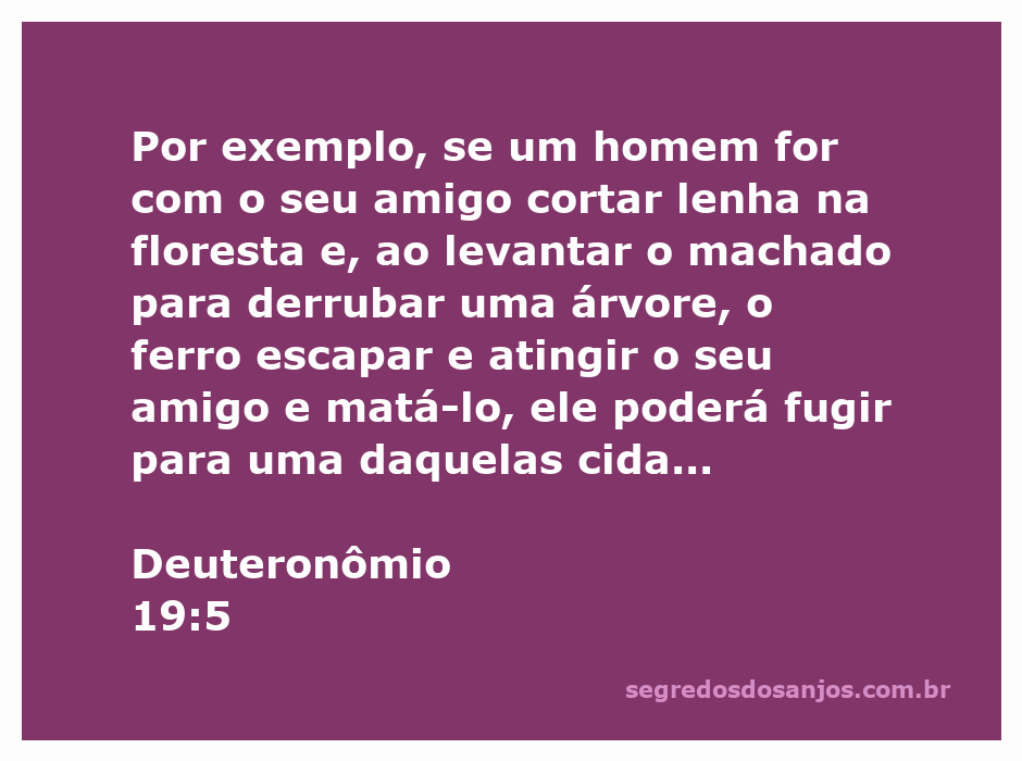 Um homem levantando um machado em uma floresta, simbolizando a passagem de Deuteronômio 19:5 sobre um acidente trágico entre amigos.