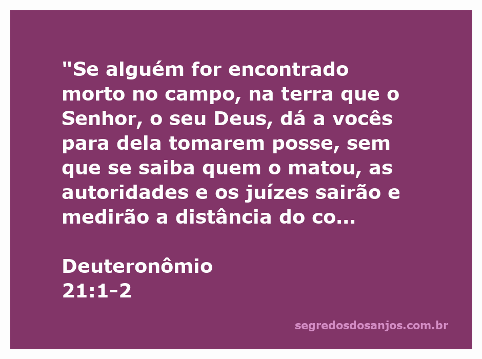 Imagem representativa da passagem Deuteronômio 21:1-2 sobre o procedimento em caso de um corpo encontrado no campo.