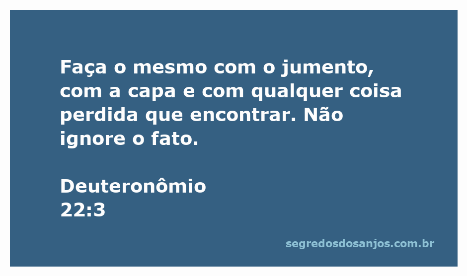 Ilustração de Deuteronômio 22:3 enfatizando a importância de devolver objetos perdidos.