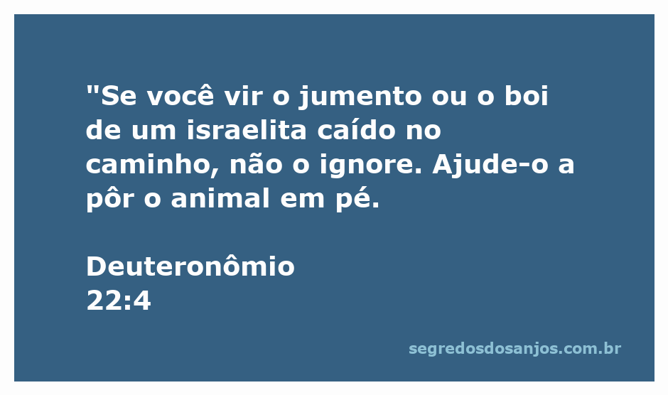 Ilustração de um homem ajudando um jumento caído na estrada, simbolizando compaixão e ajuda ao próximo.