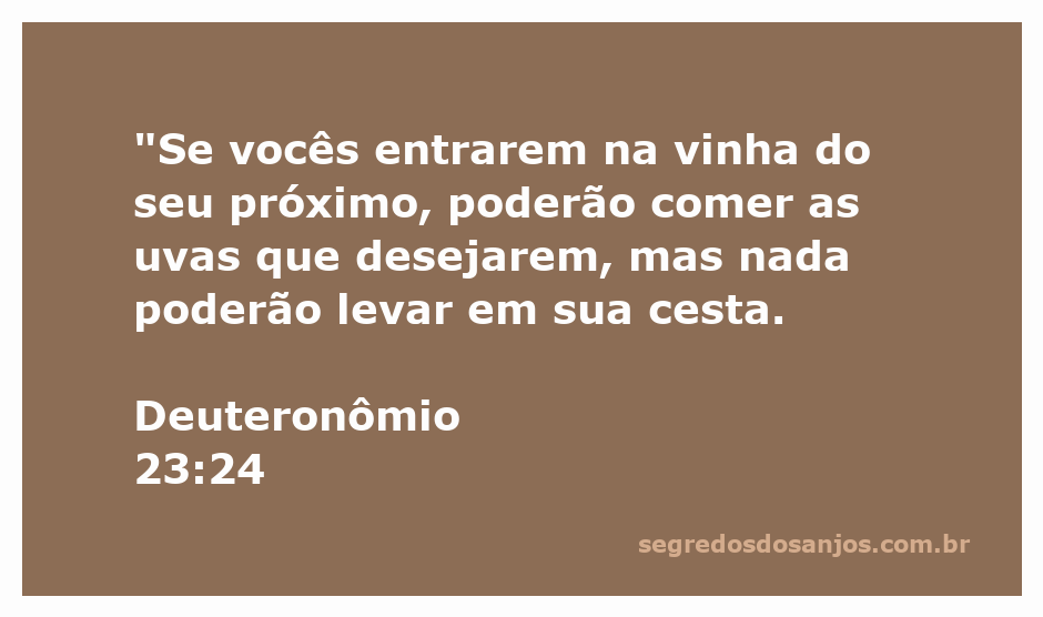 Ilustração de uma vinha com uvas maduras, representando a passagem de Deuteronômio 23:24.