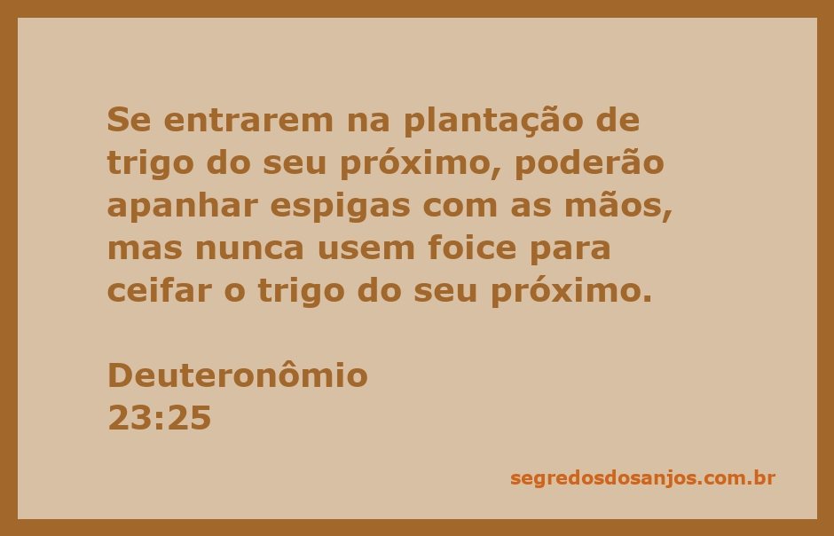 Imagem ilustrativa de espigas de trigo sendo colhidas manualmente em uma plantação.