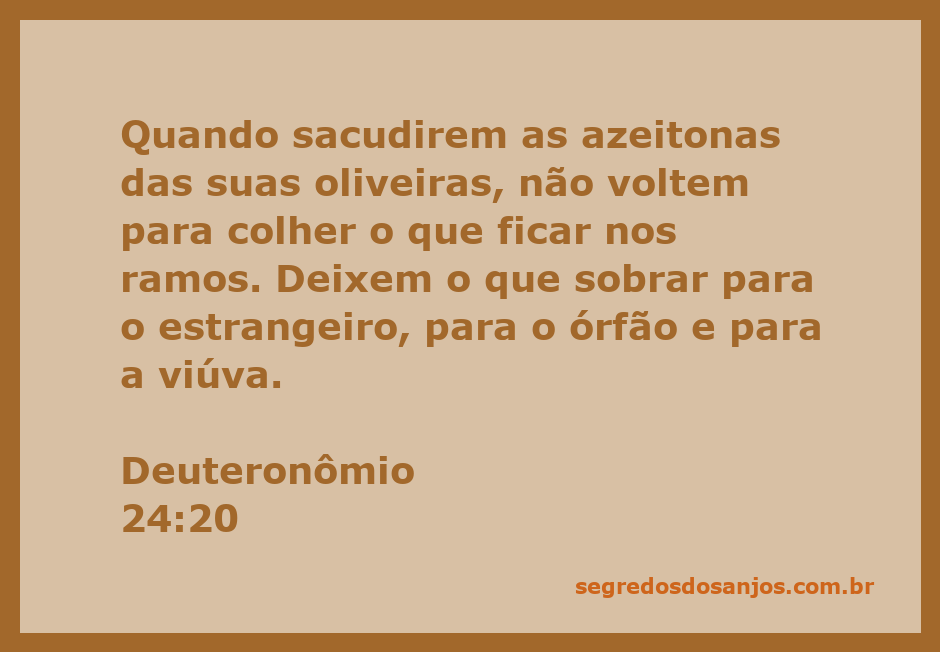 Imagem de azeitonas sendo colhidas das oliveiras, representando a generosidade e a partilha dos recursos.