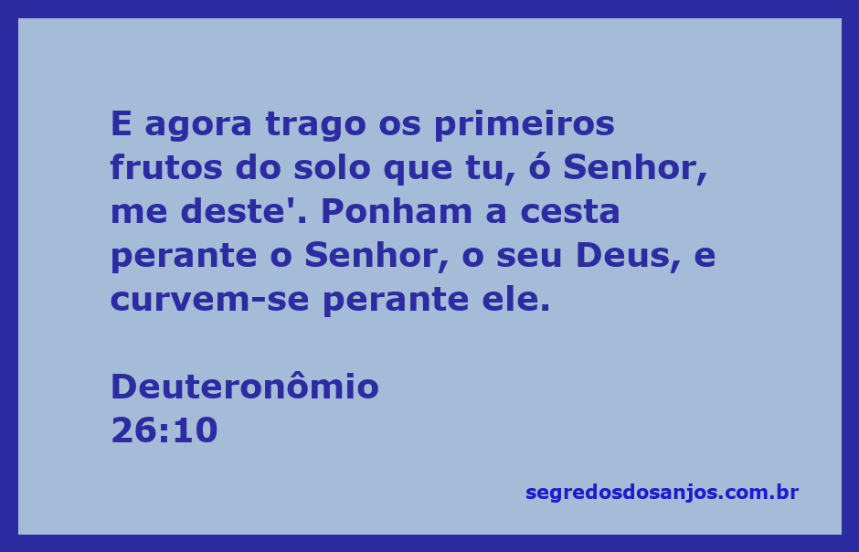 Imagem de uma cesta com os primeiros frutos do solo, simbolizando a gratidão a Deus.