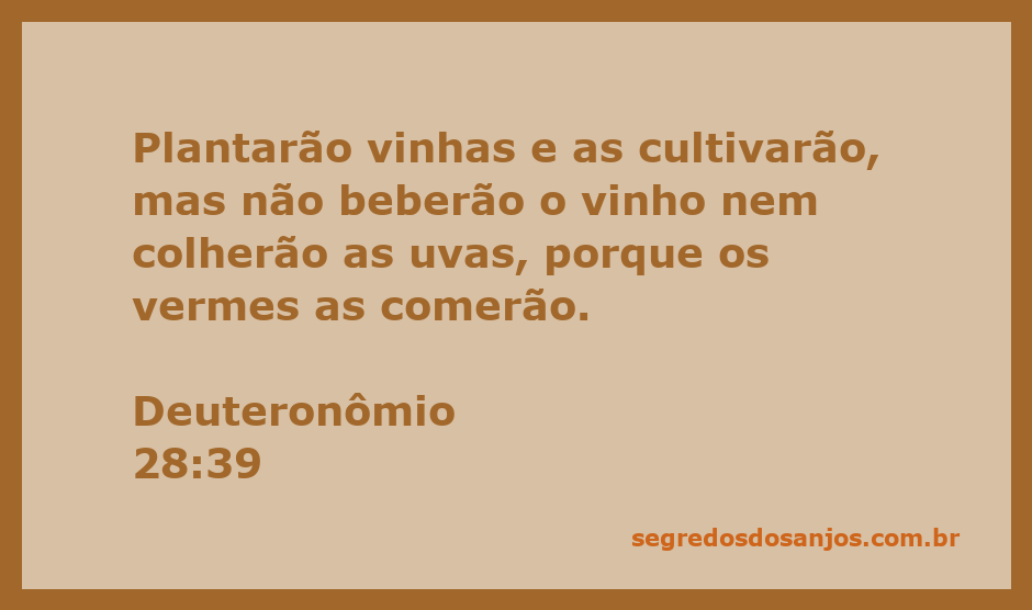 Uma imagem representativa de vinhas saudáveis, simbolizando a plantação e a colheita, mas com um foco na perda e destruição causada por vermes.