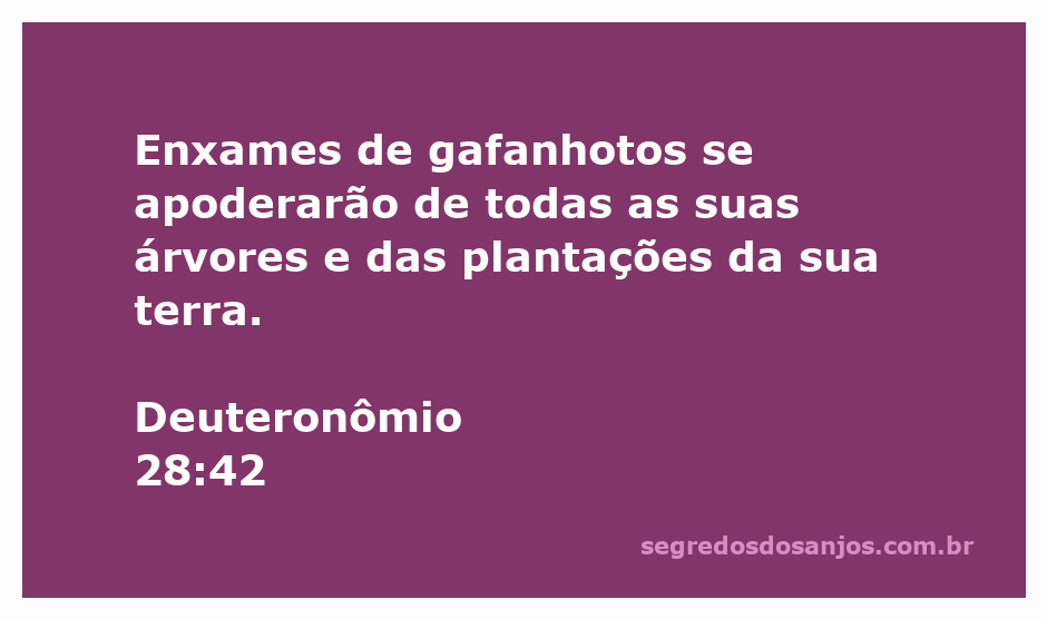 Enxames de gafanhotos devastando árvores e plantações, simbolizando a punição descrita em Deuteronômio 28:42.