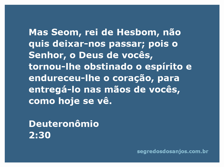 Ilustração do rei Seom de Hesbom, simbolizando a resistência e a obstinação mencionadas em Deuteronômio 2:30.