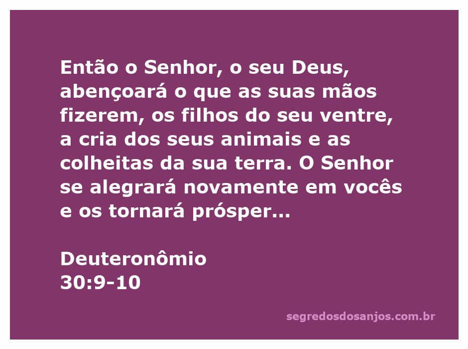 Imagem representativa da bênção de Deus sobre o trabalho e a colheita, inspirada em Deuteronômio 30:9-10.