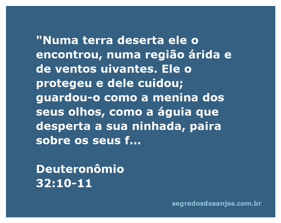 A imagem simboliza a proteção divina, representando uma águia com seus filhotes sob suas asas em um ambiente desértico.