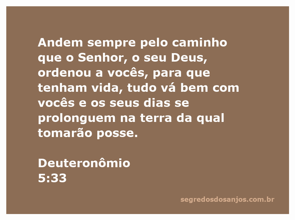 Ilustração do versículo Deuteronômio 5:33, destacando a importância de seguir o caminho do Senhor.