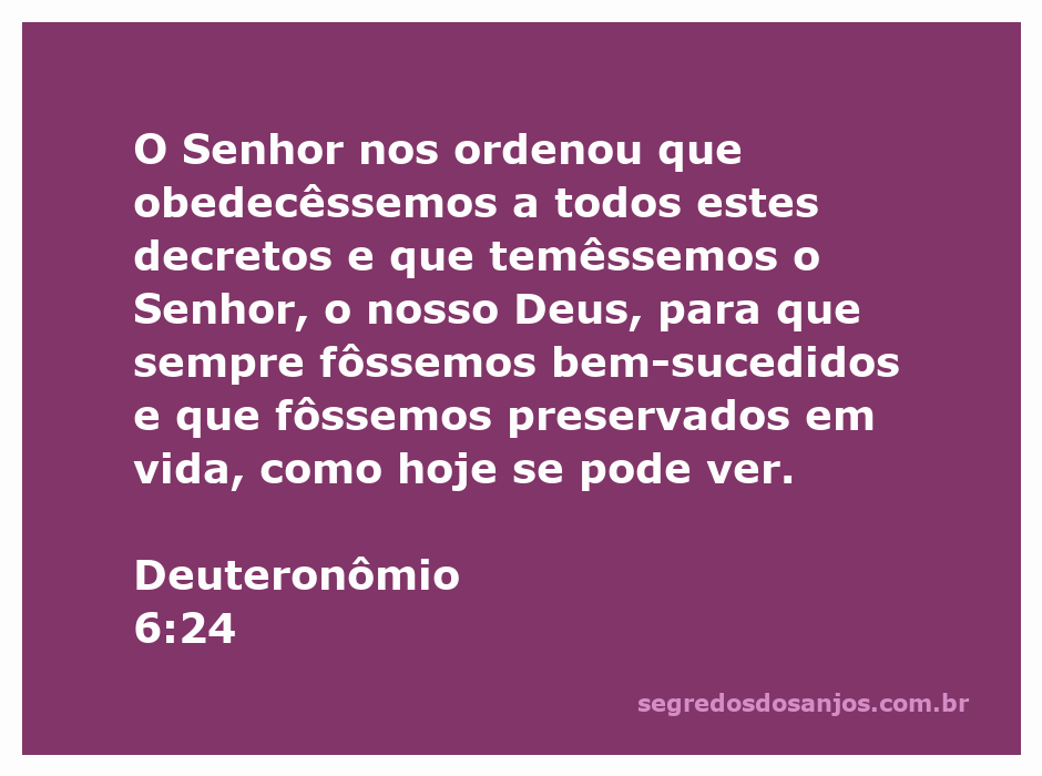 Imagem representativa do versículo Deuteronômio 6:24, destacando a obediência a Deus e a importância do temor ao Senhor.