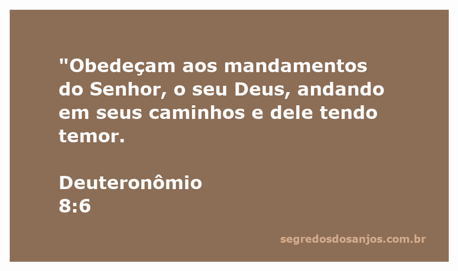 Ilustração sobre Deuteronômio 8:6 com a mensagem de obediência aos mandamentos de Deus.