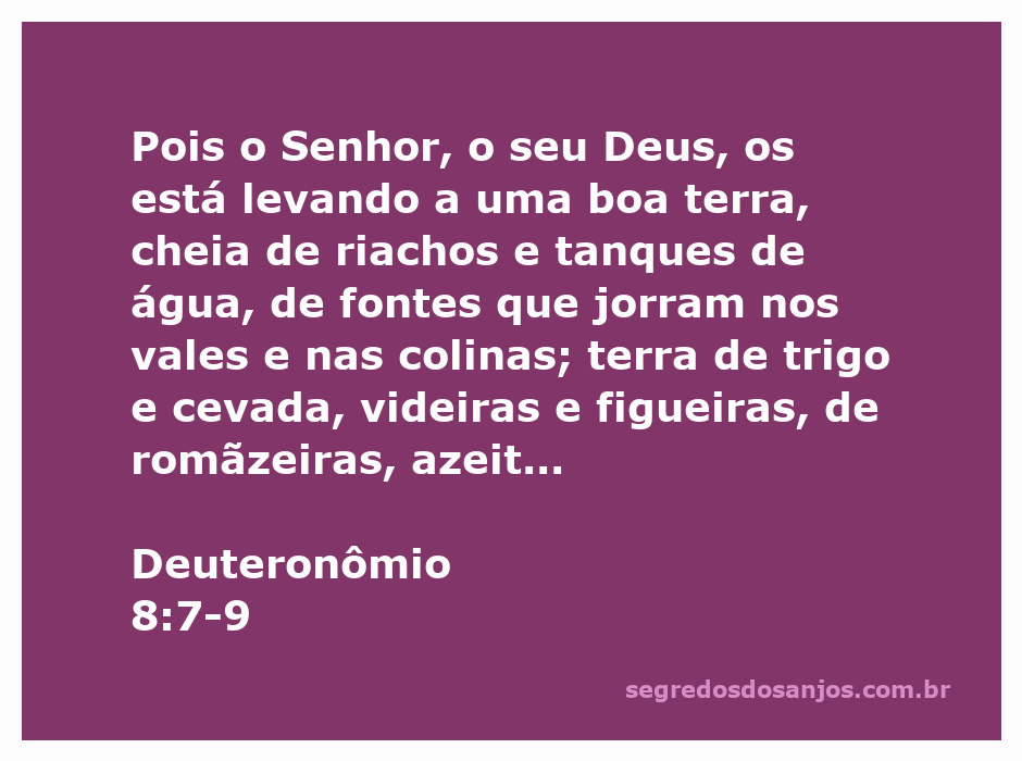 Imagem representando a abundância da terra prometida mencionada em Deuteronômio 8:7-9, com riachos, campos de trigo, videiras e figueiras.