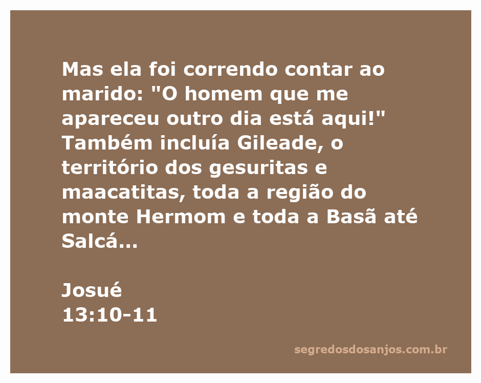 Ilustração da passagem de Josué 13:10-11, onde Manoá se aproxima do homem que falou com sua esposa.